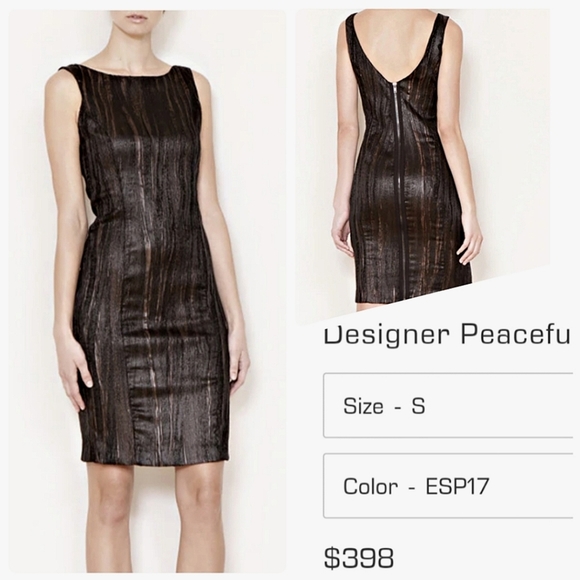 Joy Li Dresses & Skirts - Take 50% off! Joy Li designer peaceful worrior dress